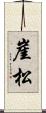 崖松 Scroll
