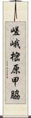 嵯峨樒原甲脇 Scroll