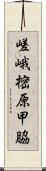 嵯峨樒原甲脇 Scroll