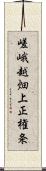 嵯峨越畑上正権条 Scroll