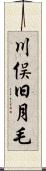 川俣旧月毛 Scroll