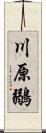 川原鶸 Scroll