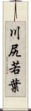 川尻若葉 Scroll