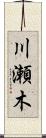 川瀬木 Scroll