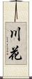 川花 Scroll