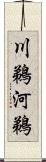 川鵜 Scroll