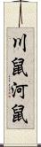 川鼠 Scroll