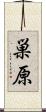 巣原 Scroll