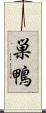 巣鴨 Scroll