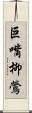 巨嘴柳鶯 Scroll