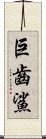 巨齒鯊 Scroll