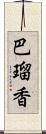 巴瑠香 Scroll