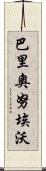 Barrionuevo Scroll