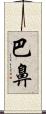 巴鼻 Scroll