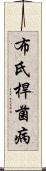 布氏桿菌病 Scroll