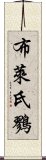 布萊氏鷚 Scroll