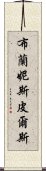 布蘭妮·斯皮爾斯 Scroll