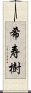 希寿樹 Scroll