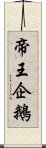 帝王企鵝 Scroll