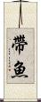 帶魚 Scroll