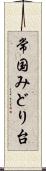 常国みどり台 Scroll