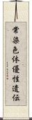 常染色体優性遺伝 Scroll