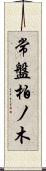 常盤柏ノ木 Scroll