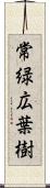 常緑広葉樹 Scroll