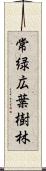 常緑広葉樹林 Scroll