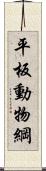 平板動物綱 Scroll