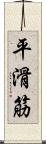平滑筋 Scroll