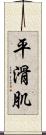 平滑肌 Scroll