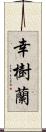 幸樹蘭 Scroll