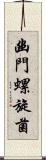 幽門螺旋菌 Scroll