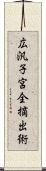 広汎子宮全摘出術 Scroll