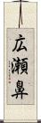 広瀬鼻 Scroll