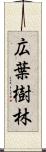 広葉樹林 Scroll