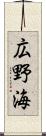 広野海 Scroll
