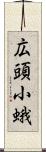 広頭小蛾 Scroll