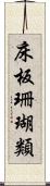 床板珊瑚類 Scroll