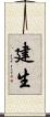 建生 Scroll
