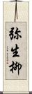弥生柳 Scroll
