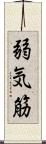 弱気筋 Scroll