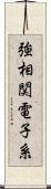 強相関電子系 Scroll