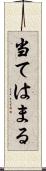 当てはまる Scroll