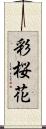 彩桜花 Scroll