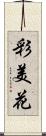 彩美花 Scroll