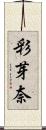 彩芽奈 Scroll