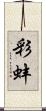 彩蚌 Scroll