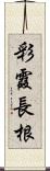 彩霞長根 Scroll